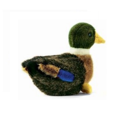 Colvert peluche de canard  19cm