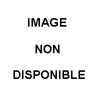 Regul AMZ 405-1458253-1247516