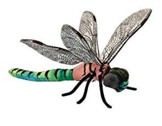 Libellule 34cm - Anima Hansa