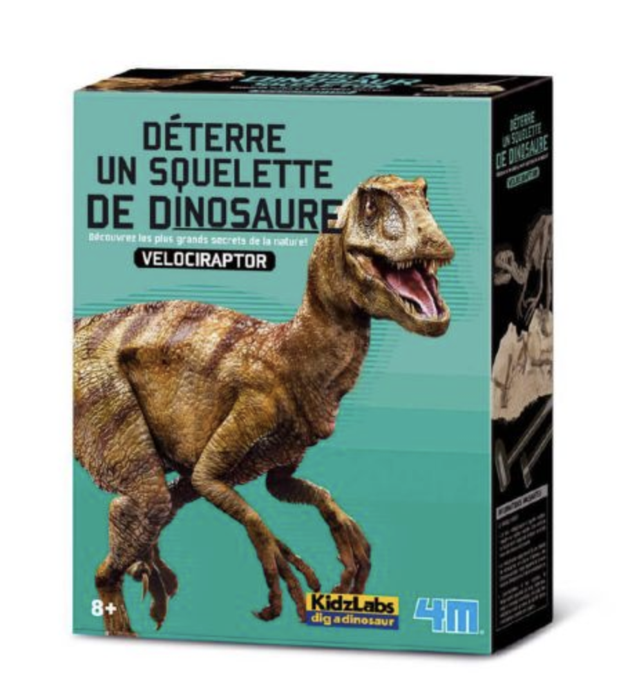 Deterre ton dinosaure Velociraptor - Graine creative