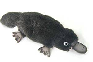 Peluche Ornithorynque 28cm