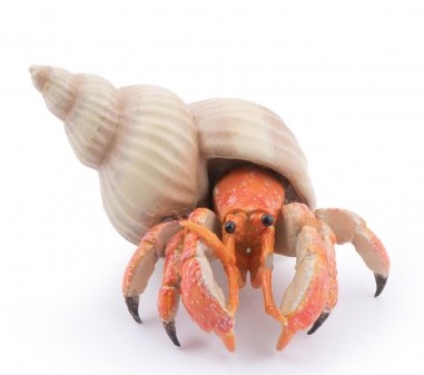 56054 Figurine Papo Bernard L hermite