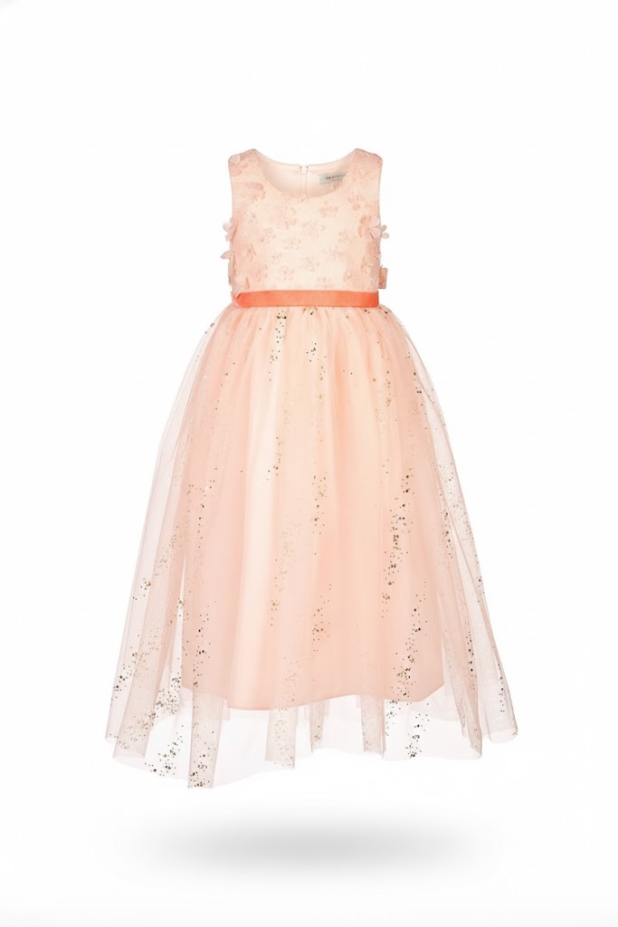 Deguisement Evelynn Robe  3-4 ans