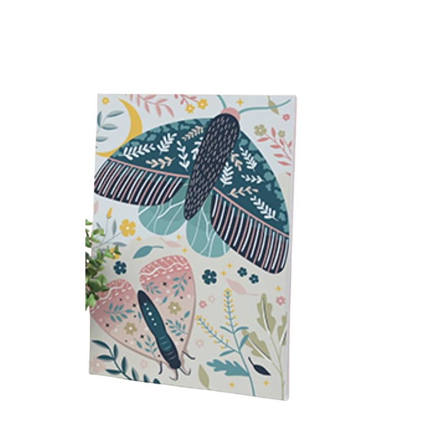 peinture au numero 20x30 cm - Papillons