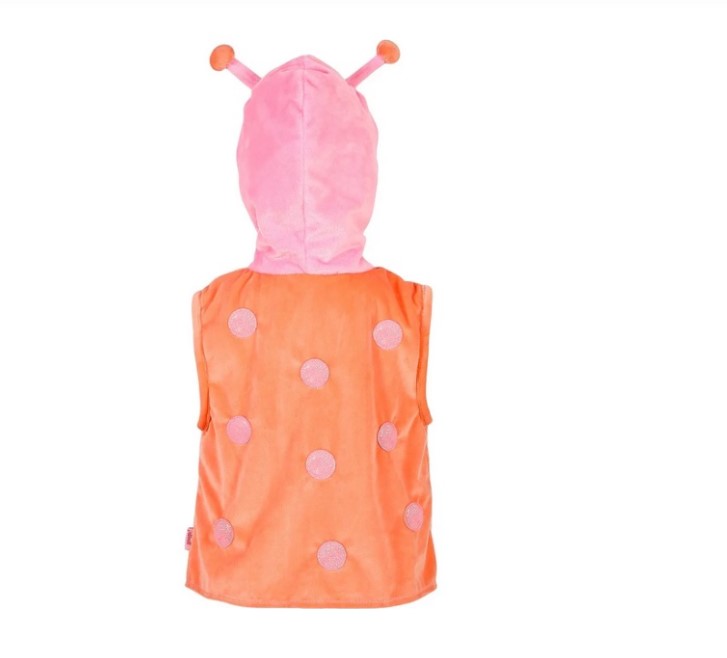 Costume Daisy Coccinelle 2 ans