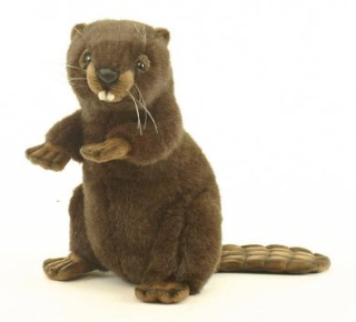 Peluche Castor dresse 29cmH