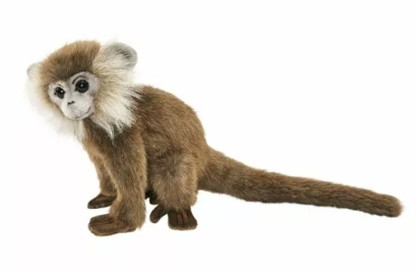 Peluche Ouistiti brun 18cmH