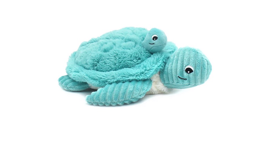 Ptipotos Tortue Maman et bebe Aqua
