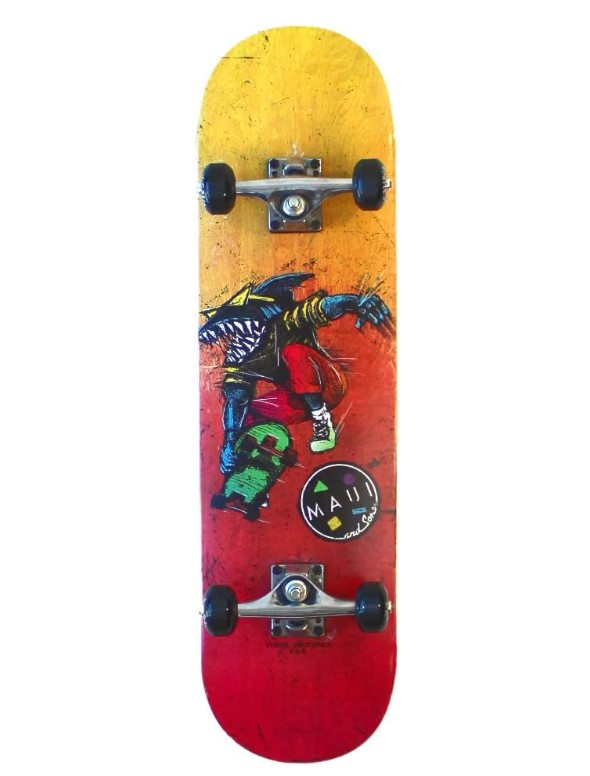 skateboard 31 pouces - aggro skater