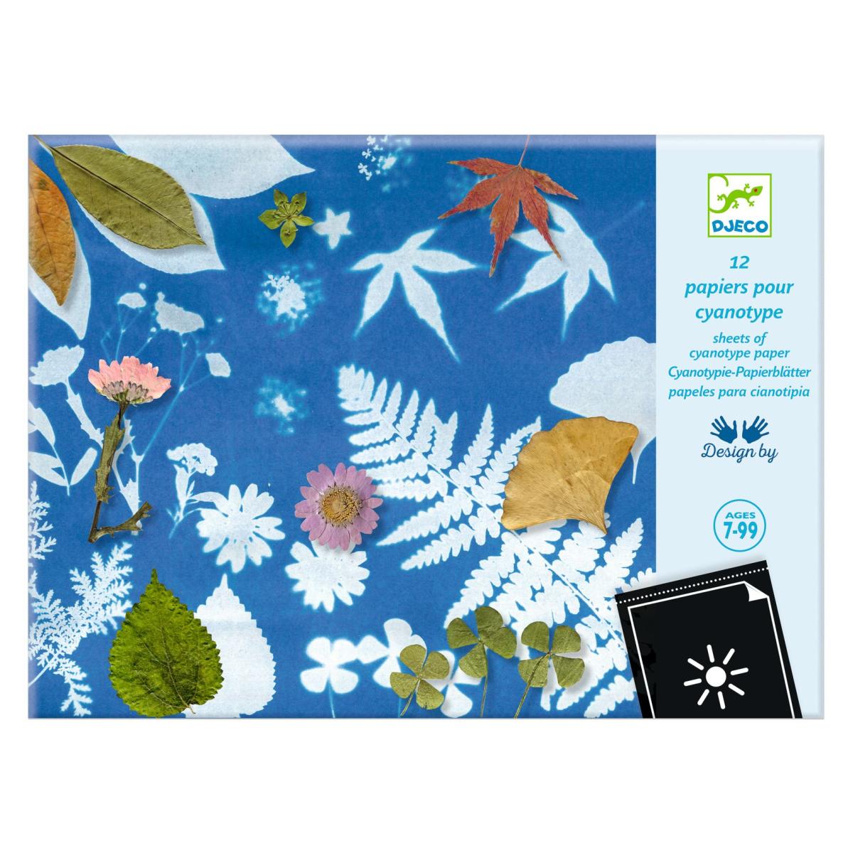 lot de papier pour Cyanotype