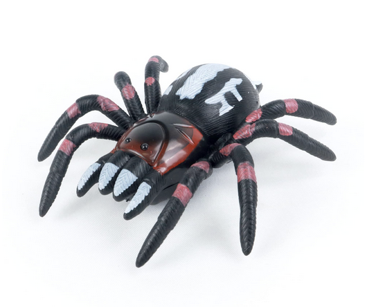 Araignee de vitres rampante  - MGM