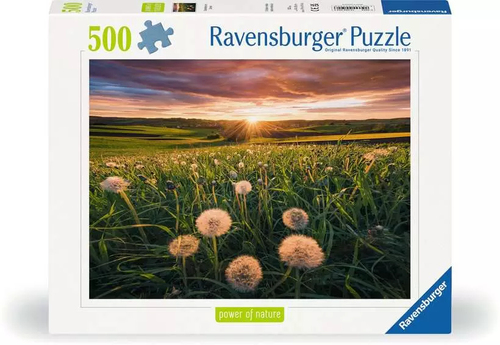 Puzzle 500 pieces - Pissenlits au crepuscule