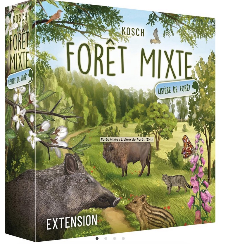 Extention Foret Mixte : Lisière de Forêt