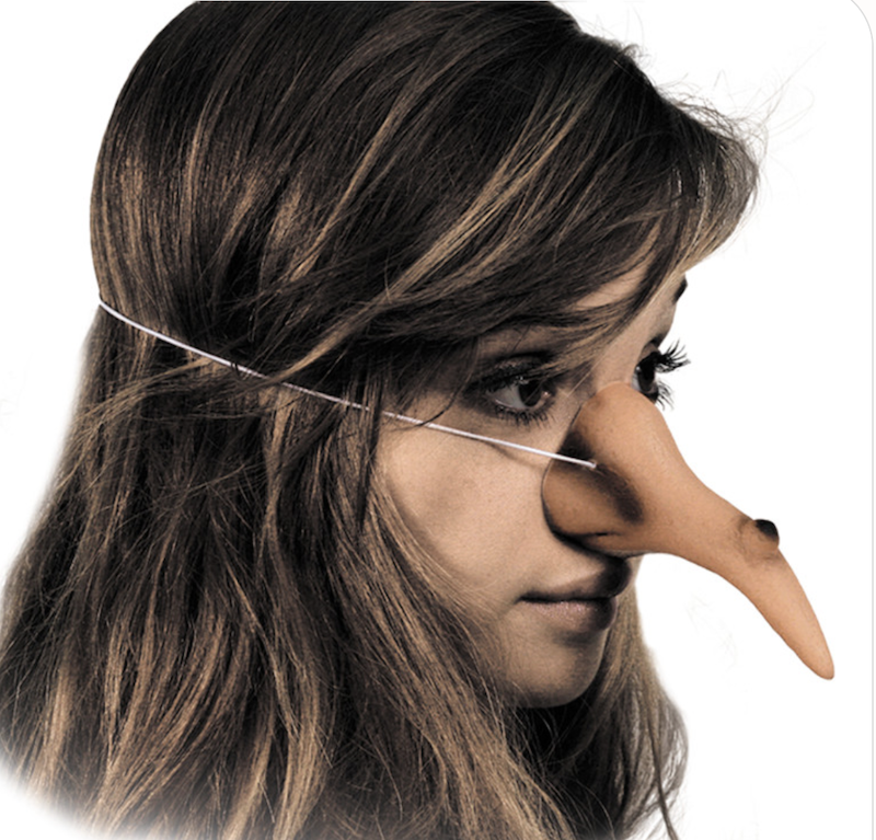 Nez de sorciere - deguisement