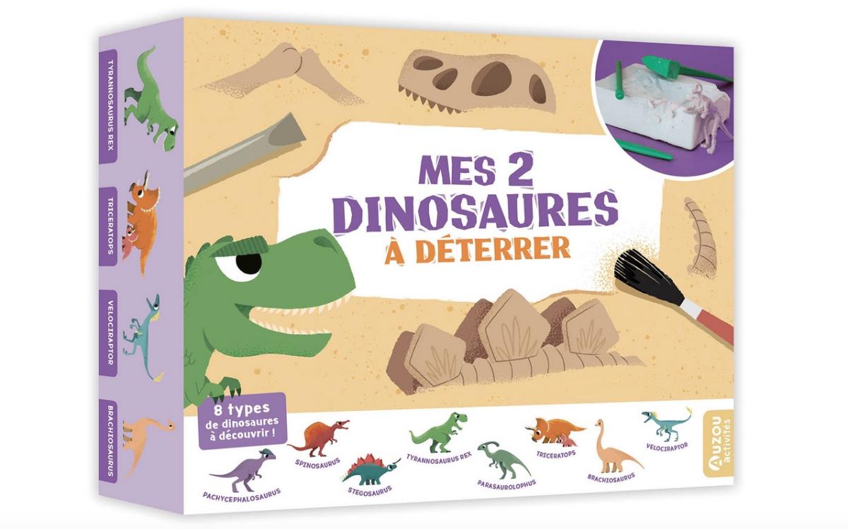 Mes 2 dinosaures a deterrer - Coffret d activite