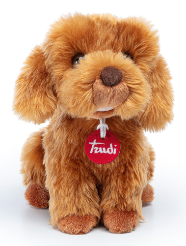 Trudi - Caniche Toy Oliver Assis