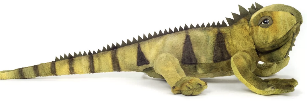 Peluche d'iguane de 49 cm