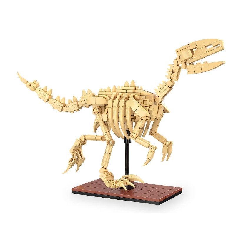 CaDA Fossile dinosaure Vélociraptor Bricks