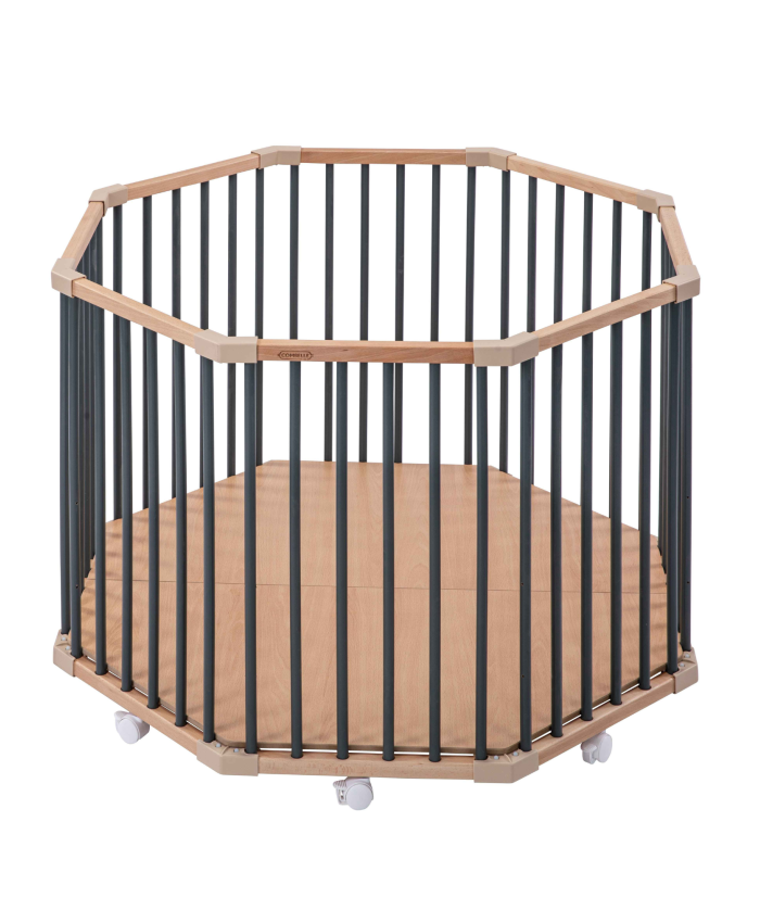 Parc Octogonal Basile Hybride Kaki