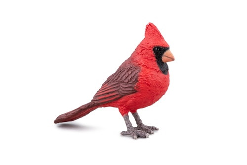 50322 Cardinal rouge -  Papo