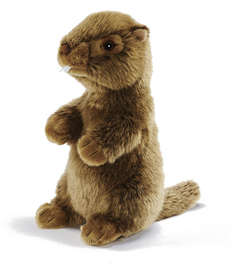 Peluche Marmotte Siffleuse 25cmH
