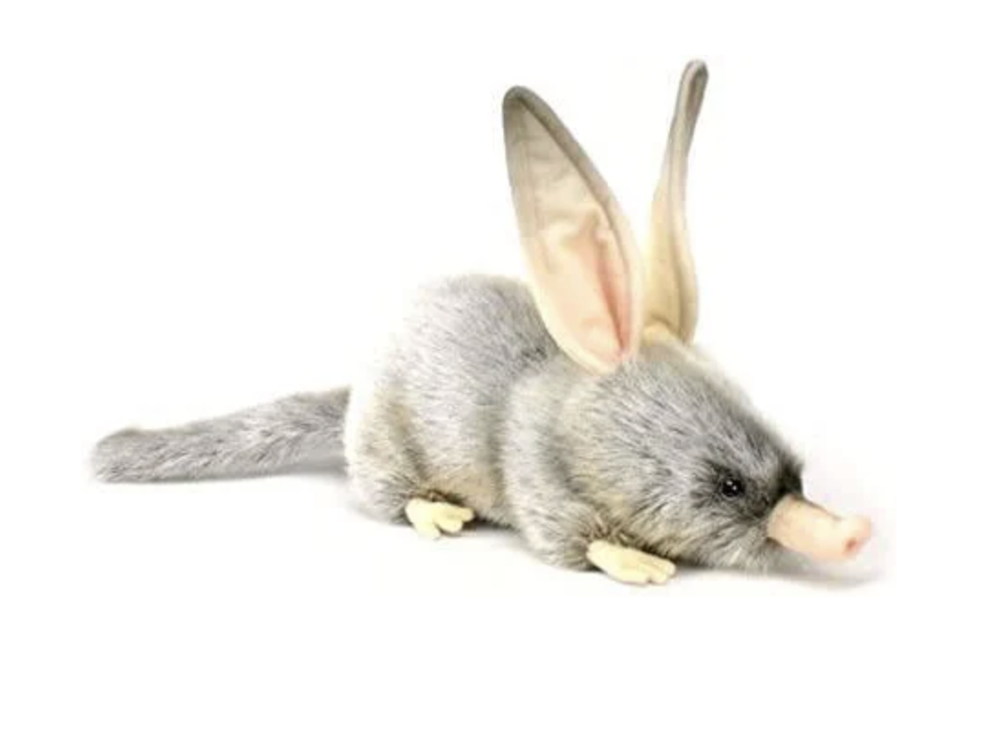 Bilby 35cmL - Anima Hansa
