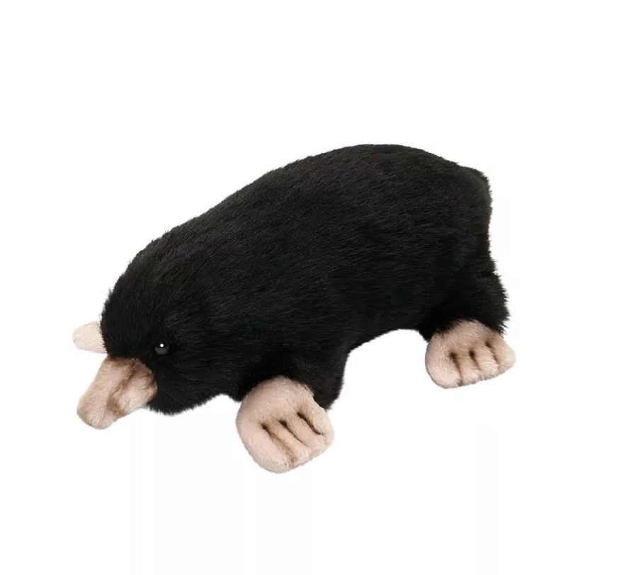 Taupe 23cmL - Anima Hansa