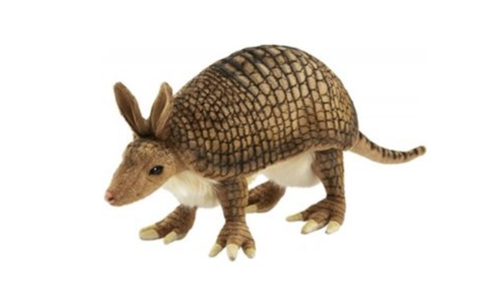 Tatou 25cmL - Anima Hansa