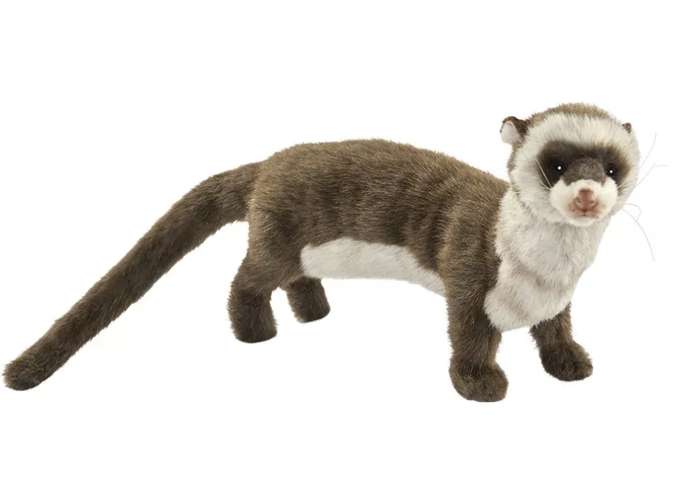 Furet 35cmL - Anima Hansa