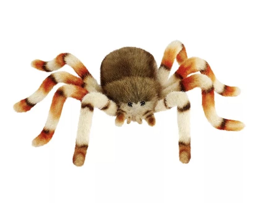 Araignee 24cmL - Anima Hansa