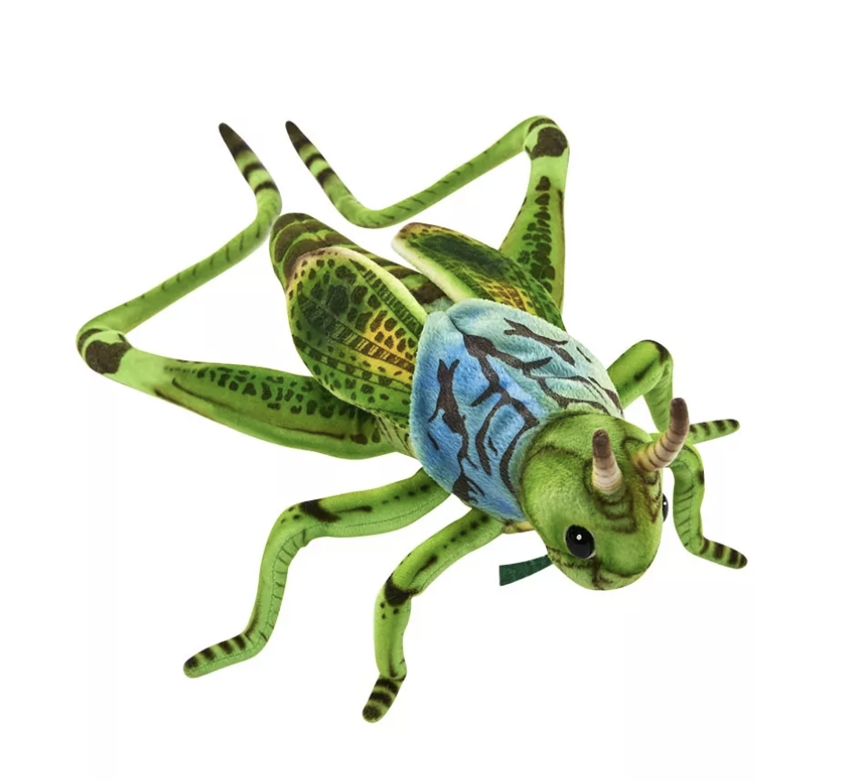 Sauterelle Verte 35cmL - Anima Hansa