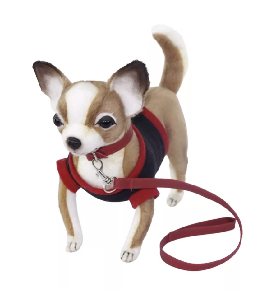 Chihuahua avec gilet rouge 24cmL