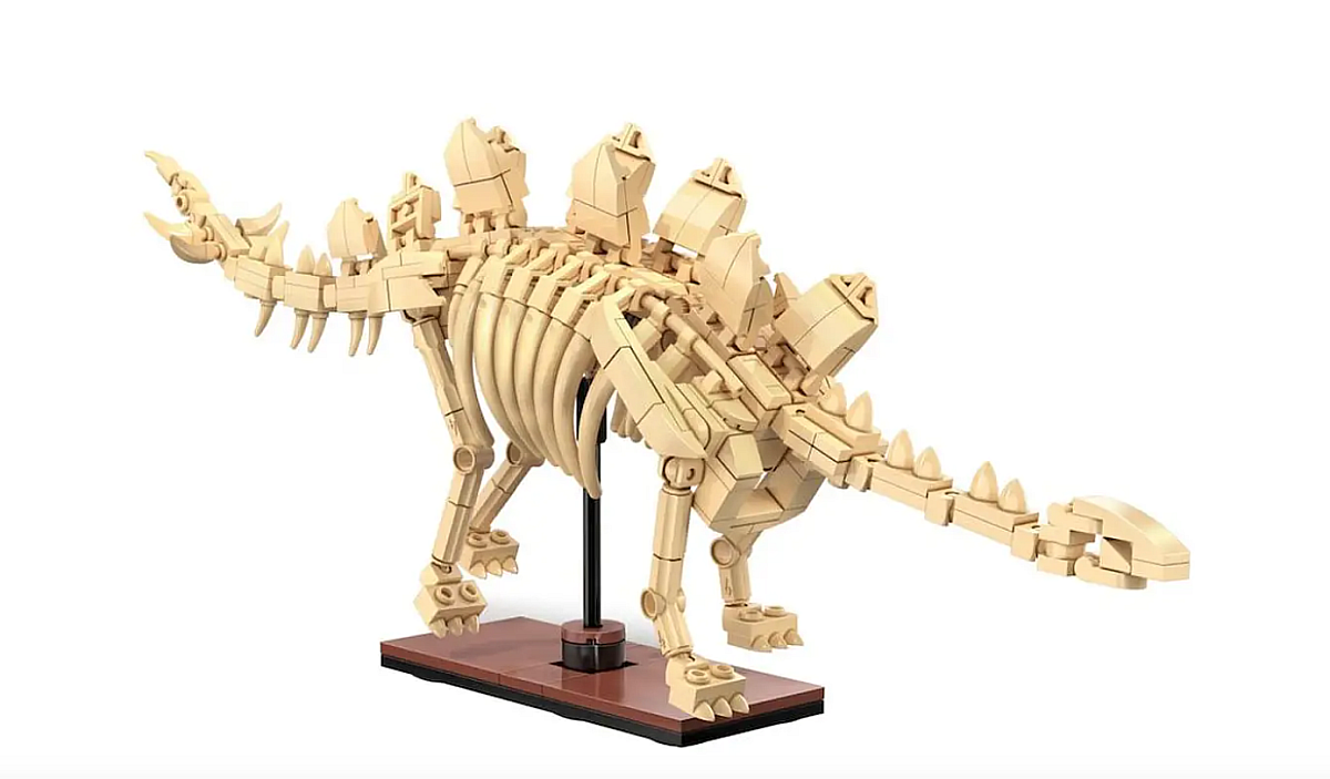 CADA - CREATIVE - squelette de stegosaurus