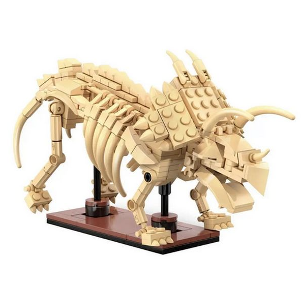 CADA - Creative - squelette de triceratops