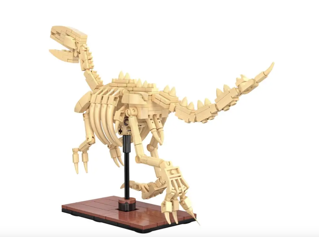 CADA - Creative - Squelette de velociraptor