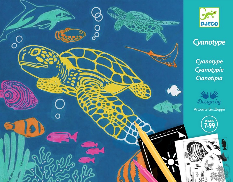 Coffret cyanotype : Outremer