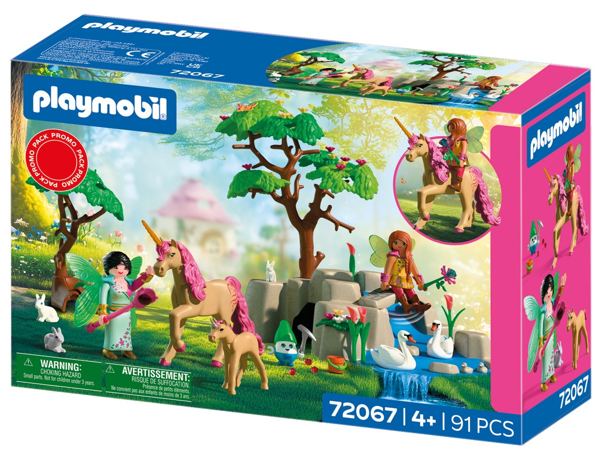 72067 Journée avec les fées