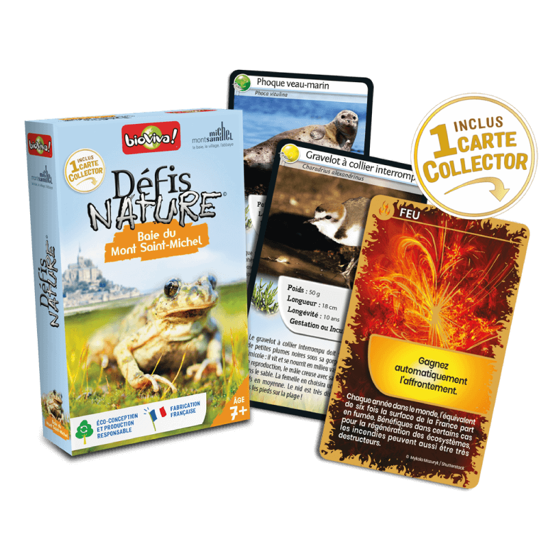 Defis nature - Baie du Mont st Michel