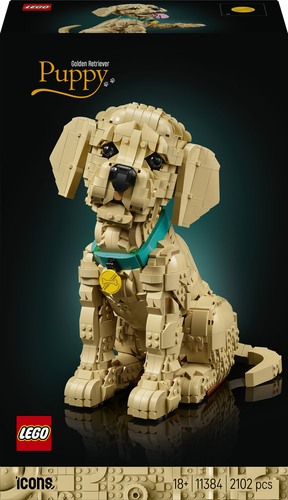11384 Le chiot Golden Retriever  LEGO® Icons