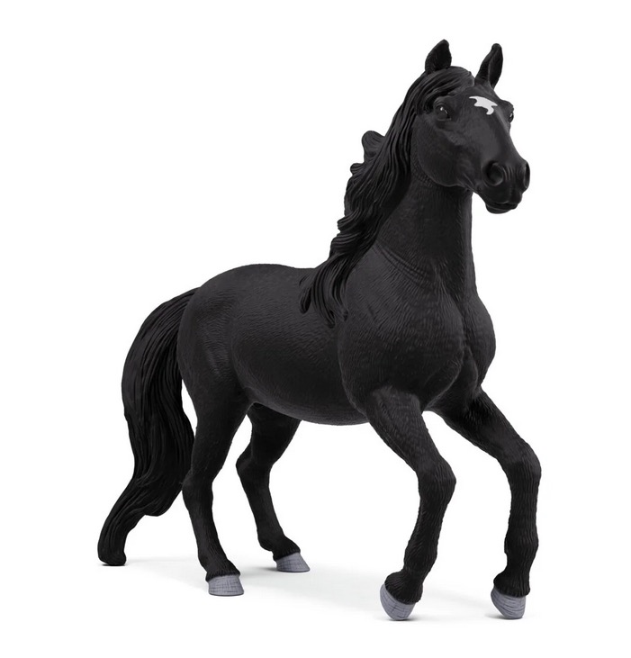 14918 l etalon lusitanien