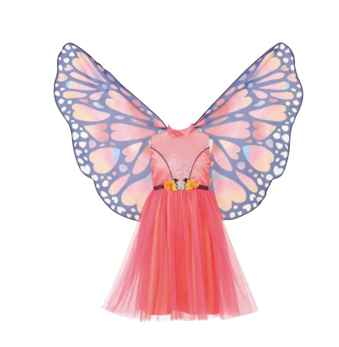 Robe papillon et ailes papillon 8-10 ans