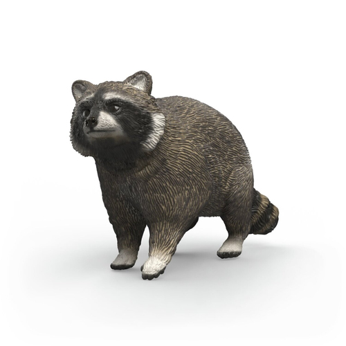 14937 WILD LIFE Raton laveur