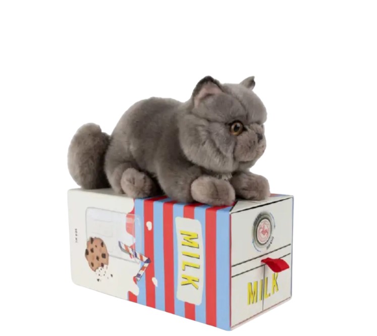 Freddy le british shorthair - Eco 18cm