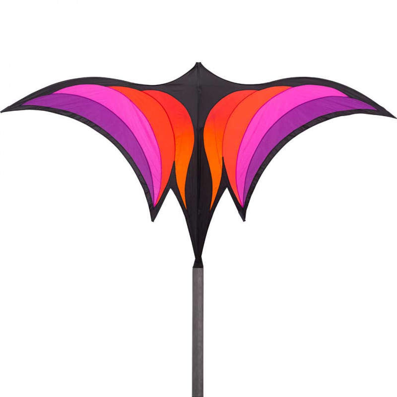 Cerf-volant Corbeau Brasington HQ - 178 x 88 cm
