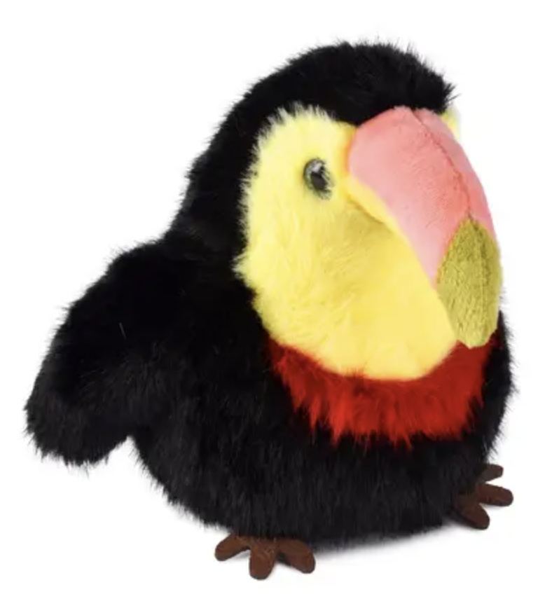 Les Cui-Cui Paradis - Toucan