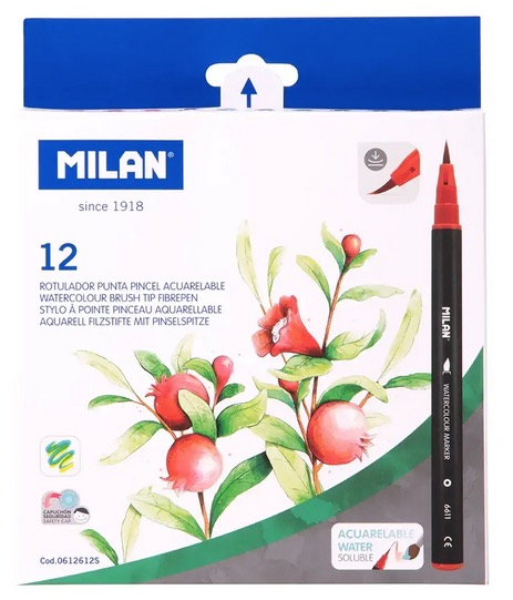Pochette 12 feutres aquarellables pointe pinceau