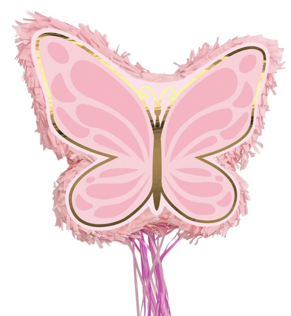 Pinata vide papillon - Party pro