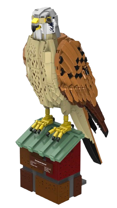 108733 - Bluebrixx - Faucon crecerelle