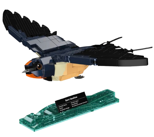 108722 - Bluebrixx - Hirondelle rustique