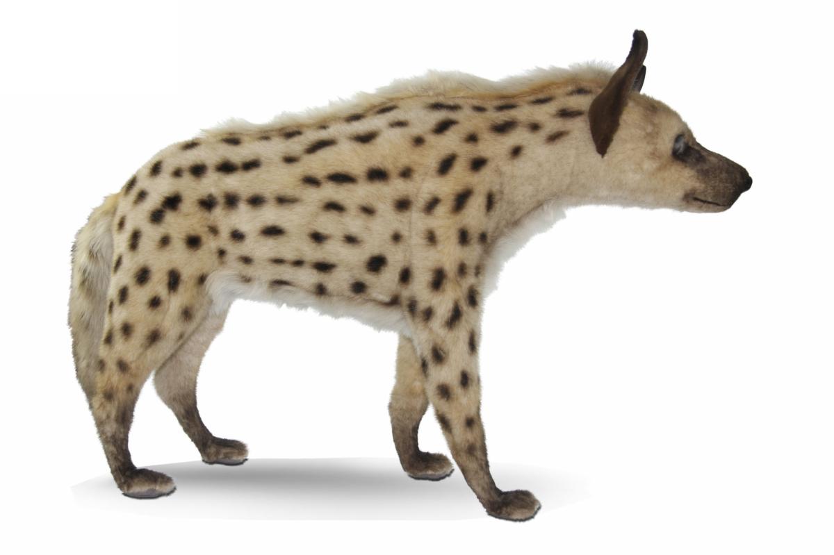 Hansa Peluche Geante Hyene 92cm